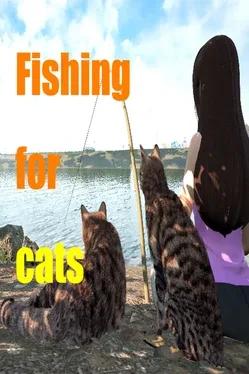 Fishing for cats