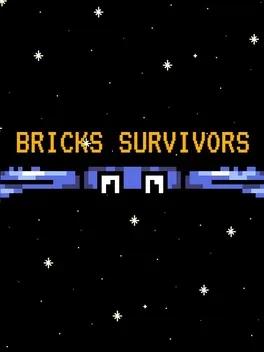 Bricks Survivors