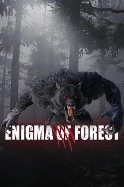 Enigma Of Forest