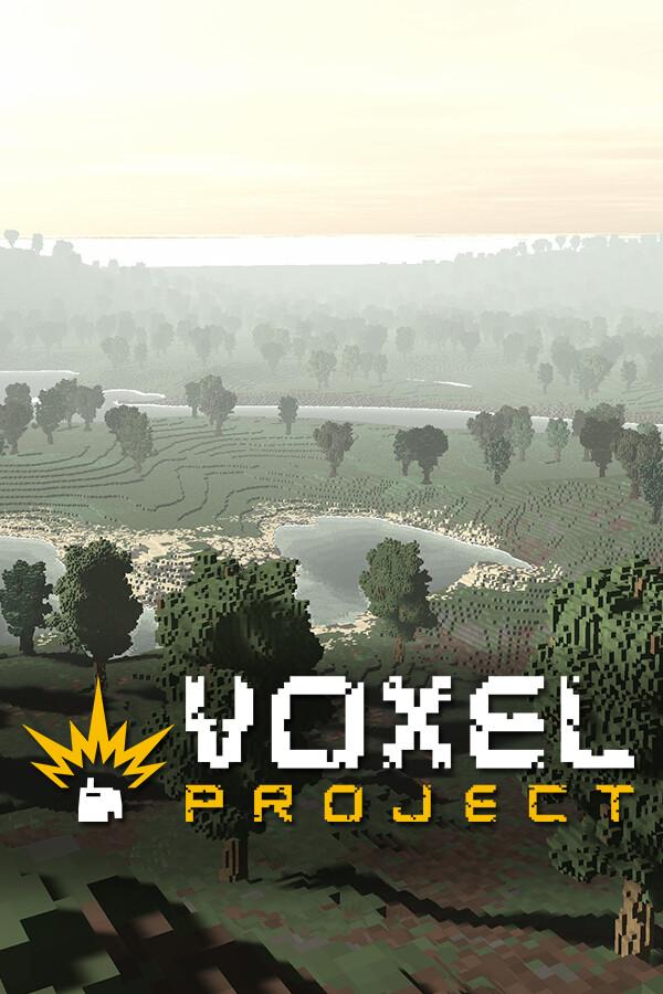 Voxel Project VR