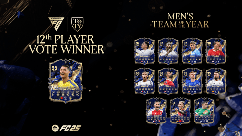 Introducing the Team of The Year 12th Players