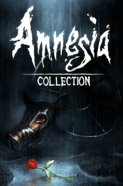 Amnesia: Collection