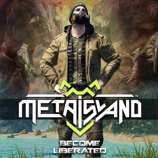 Metaisland