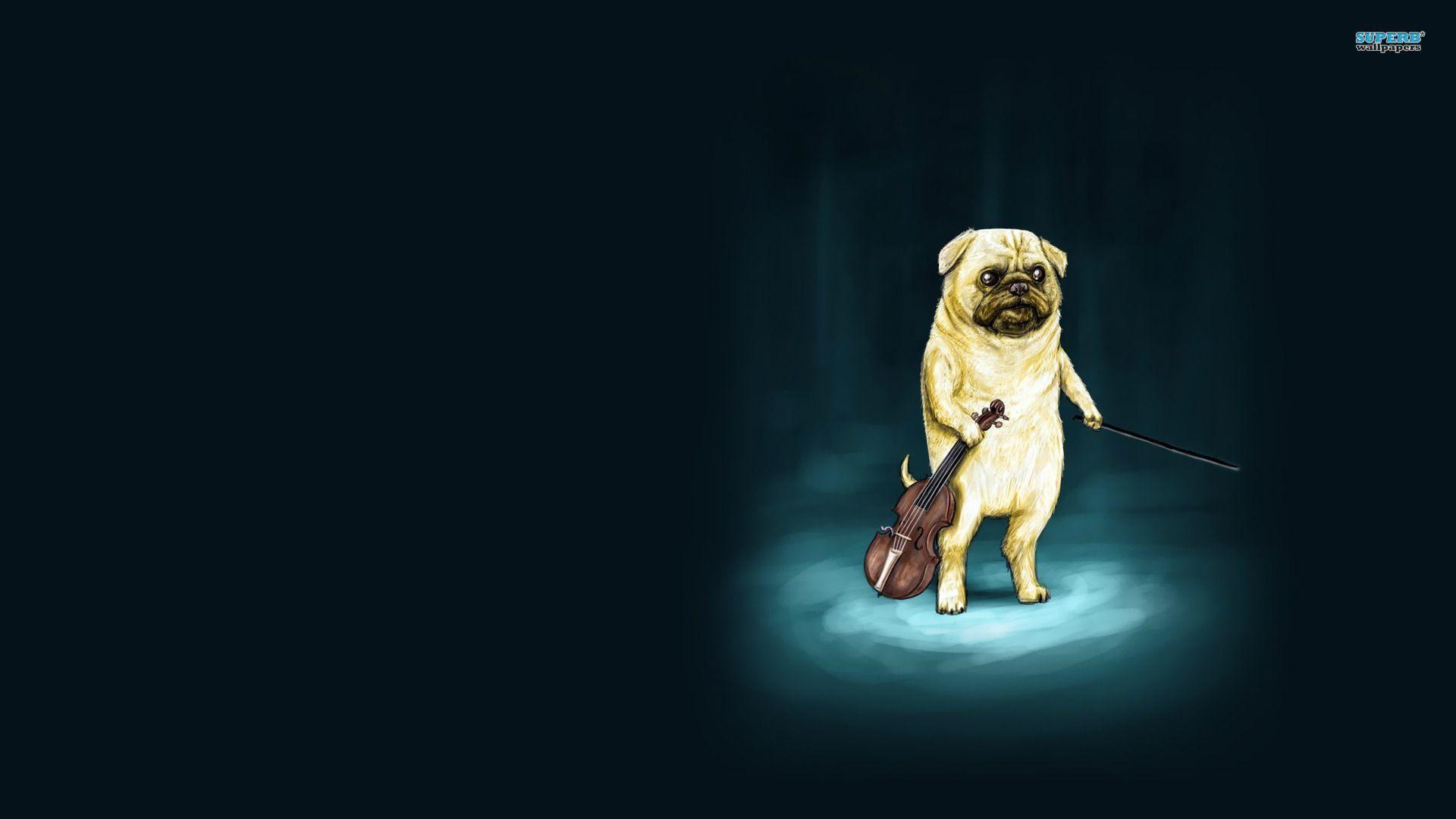 Turbo Pug