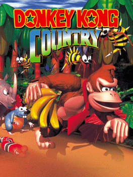 Donkey Kong Country