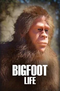 Bigfoot Life