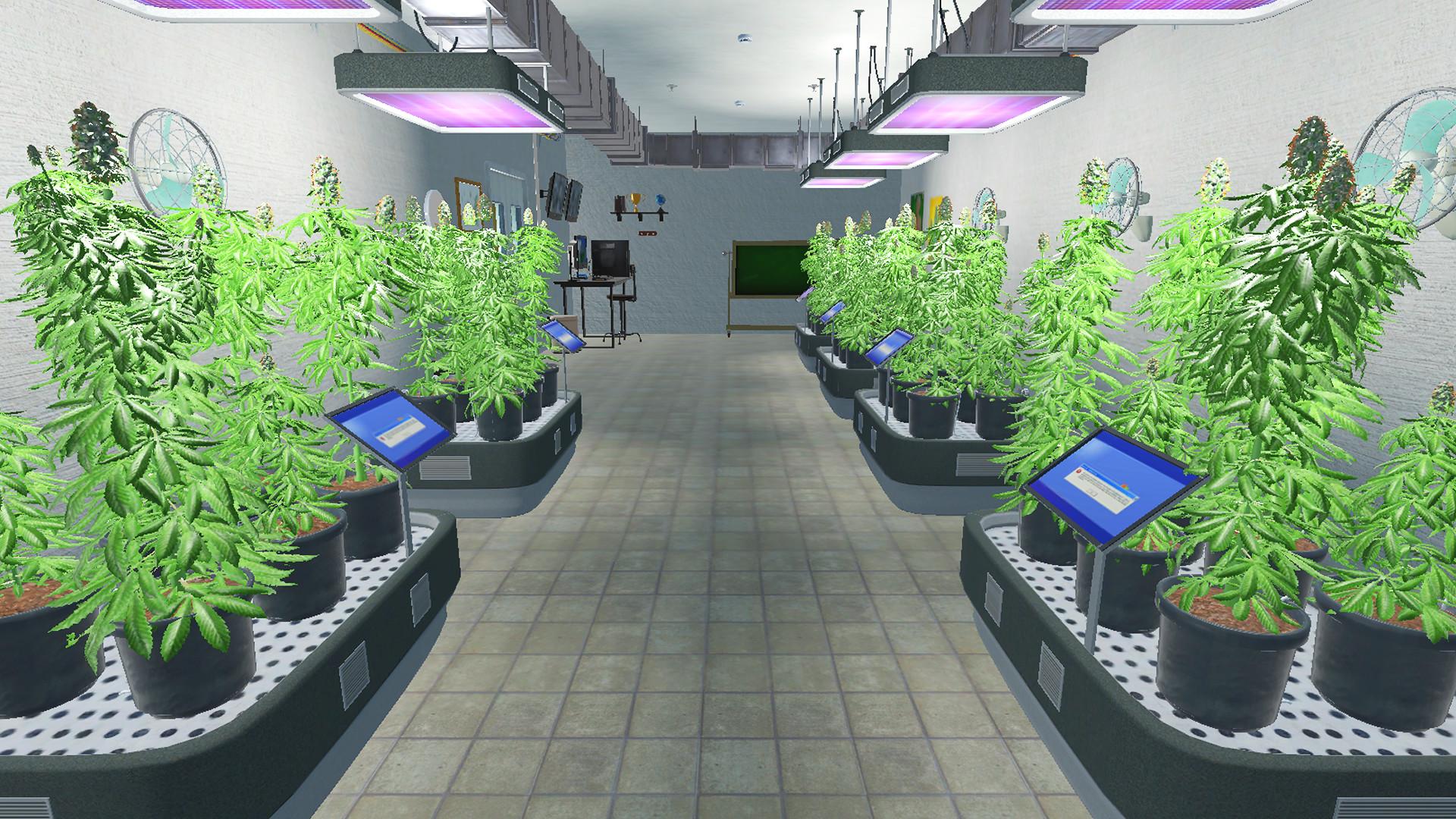 Weed Shop