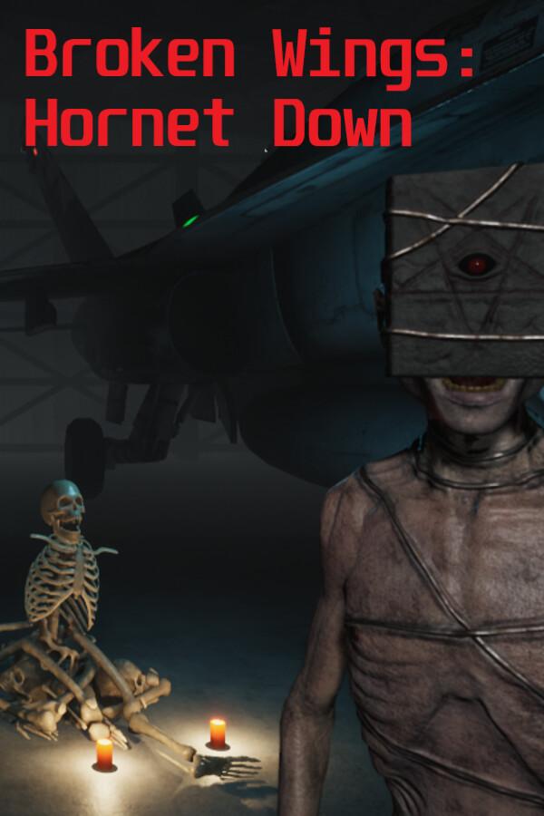 Broken Wings: Hornet Down