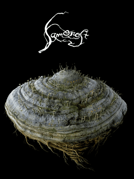 Samorost