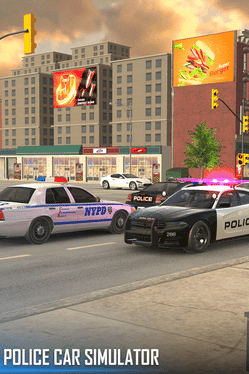 Police Car Simulator